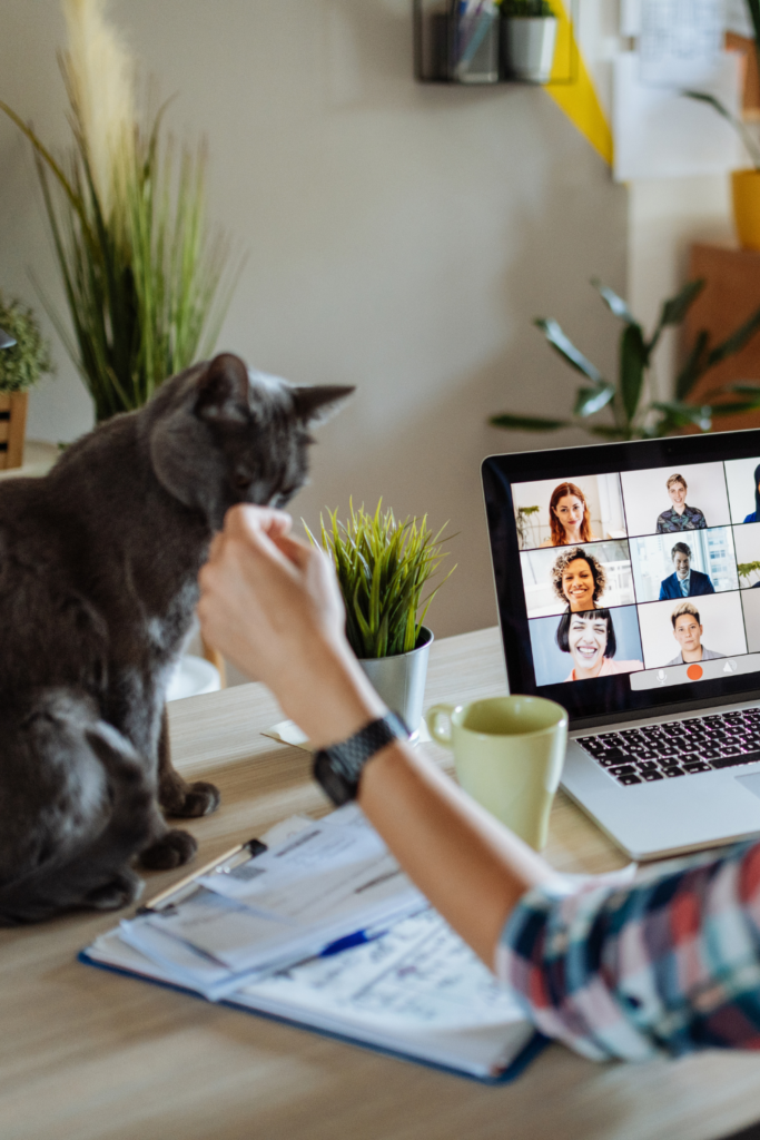 3 Reasons Why We Work At Home, cat work at home